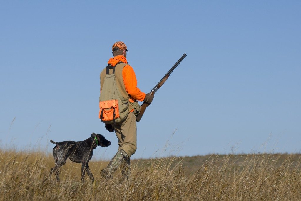 hunter with rifle and dog
