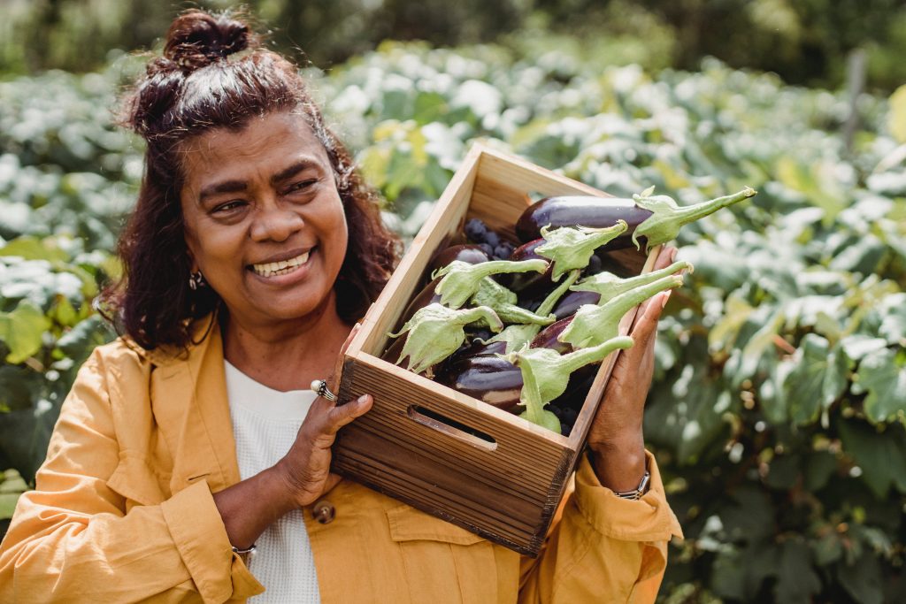 Local farmer holding a crate of eggplants