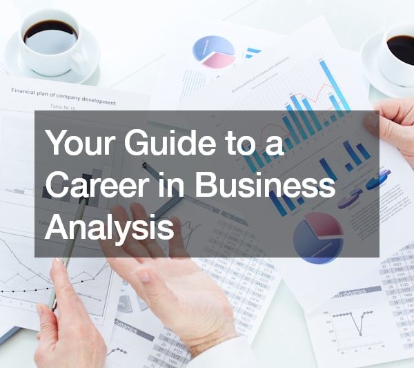 Your Guide to a Career in Business Analysis