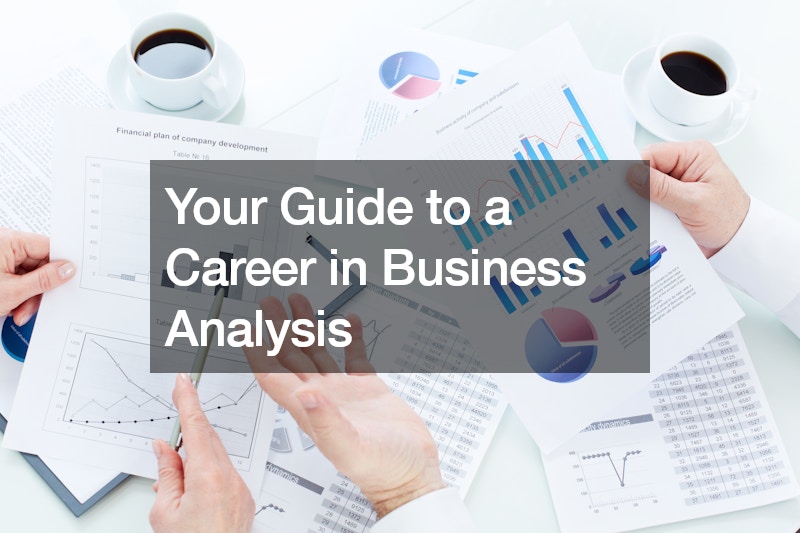 Your Guide to a Career in Business Analysis