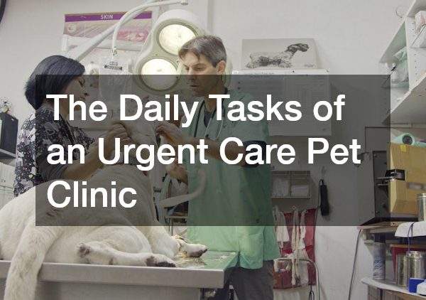 The Daily Tasks of an Urgent Care Pet Clinic